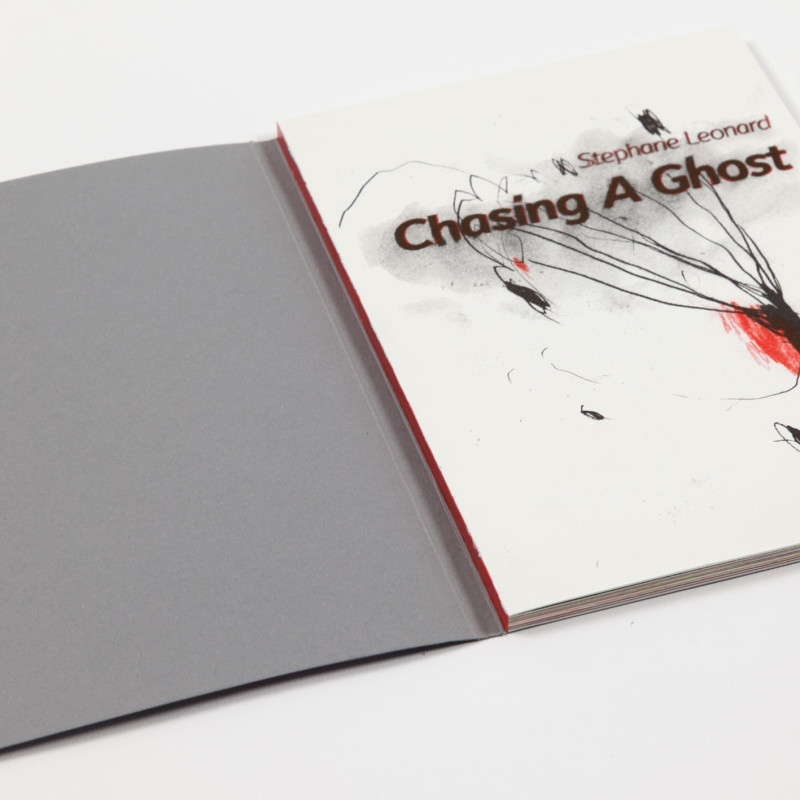 Stephane Leonard - Chasing A Ghost - art book
